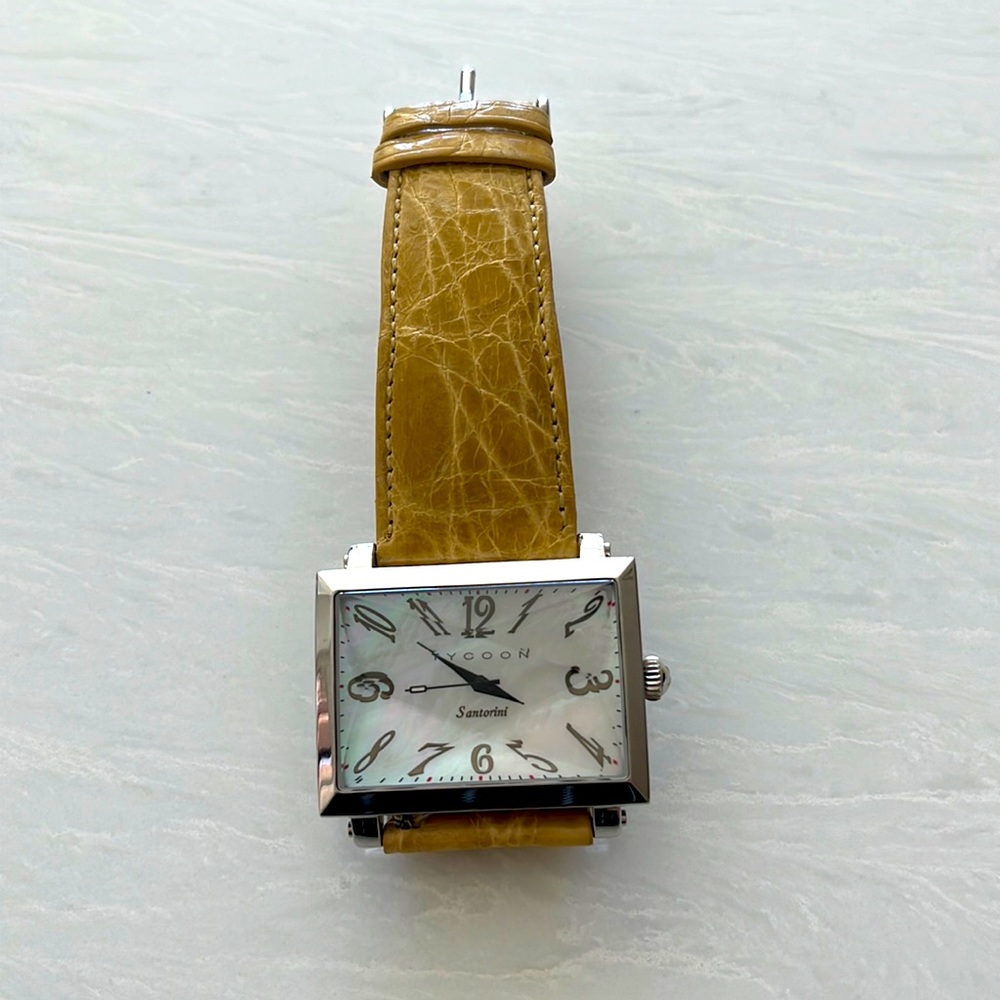Ladies Tycoon stainless steel watch, Swiss movement, band handmade in Italy.